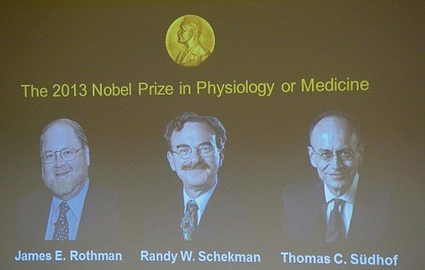 Le Nobel de médecine honore deux Américains et un Allemand - ảnh 1